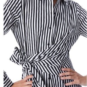 Alice and Olivia Striped Reina Asymmetric Drape Shirtdress